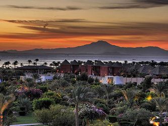 Aurora Oriental Resort Sharm El Sheikh 5* (Набк)