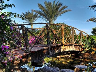 Aurora Oriental Resort Sharm El Sheikh 5* (Набк)