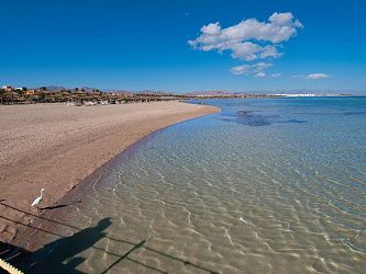 AMWAJ OYOUN RESORT & CASINO 5* (Набк)